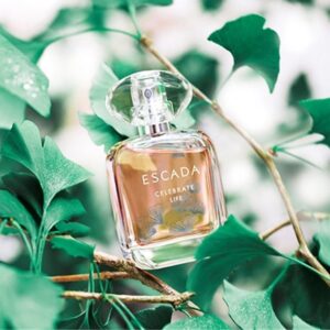 Escada Celebrate Life Scent Molecule Concentrated Perfume Oil